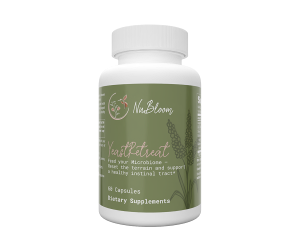 Yeast Retreat